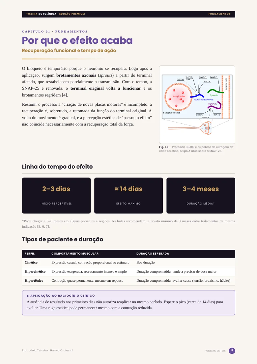 Recuperação funcional